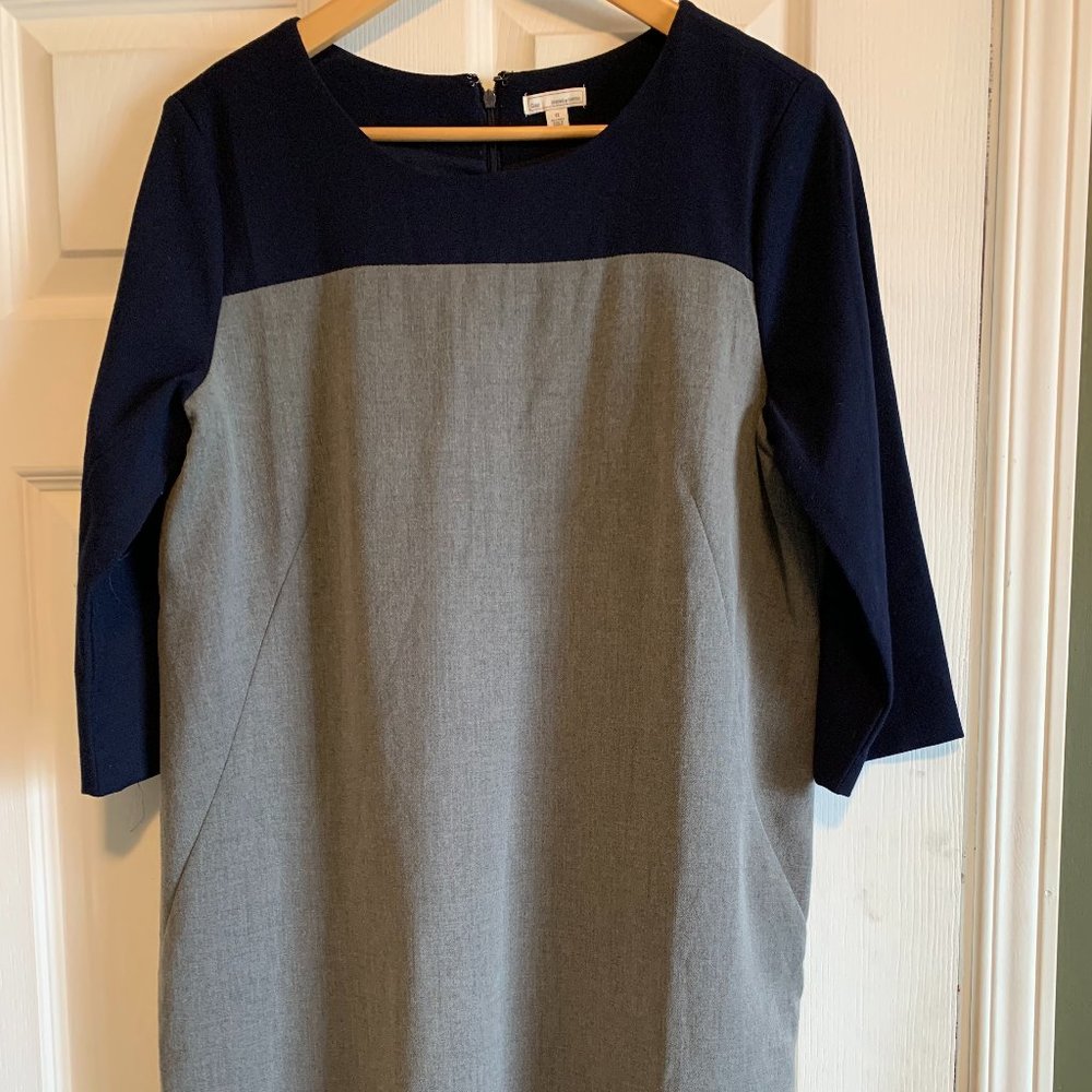 GAP color block Shift dress.